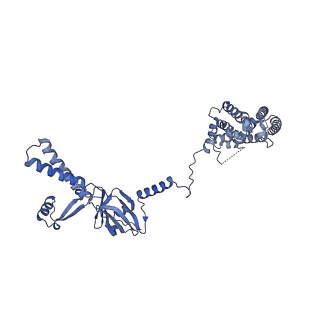 34373_8gym_B_v1-0
Cryo-EM structure of Tetrahymena thermophila respiratory mega-complex MC IV2+(I+III2+II)2