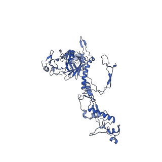 34373_8gym_C2_v1-0
Cryo-EM structure of Tetrahymena thermophila respiratory mega-complex MC IV2+(I+III2+II)2