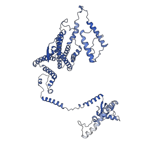 34373_8gym_C3_v1-0
Cryo-EM structure of Tetrahymena thermophila respiratory mega-complex MC IV2+(I+III2+II)2