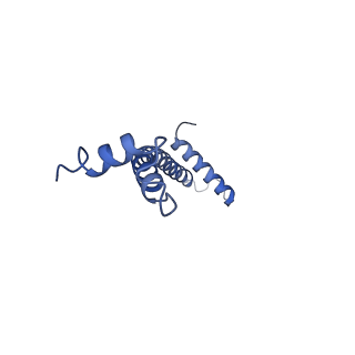 34373_8gym_C4_v1-0
Cryo-EM structure of Tetrahymena thermophila respiratory mega-complex MC IV2+(I+III2+II)2