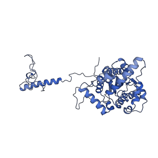 34373_8gym_E_v1-0
Cryo-EM structure of Tetrahymena thermophila respiratory mega-complex MC IV2+(I+III2+II)2