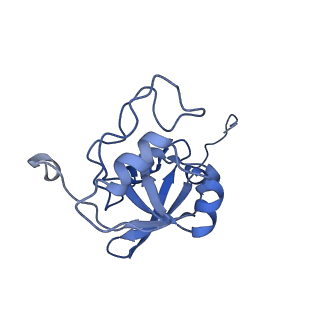 34373_8gym_FX_v1-0
Cryo-EM structure of Tetrahymena thermophila respiratory mega-complex MC IV2+(I+III2+II)2