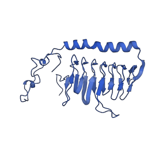 34373_8gym_G1_v1-0
Cryo-EM structure of Tetrahymena thermophila respiratory mega-complex MC IV2+(I+III2+II)2