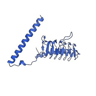 34373_8gym_G2_v1-0
Cryo-EM structure of Tetrahymena thermophila respiratory mega-complex MC IV2+(I+III2+II)2