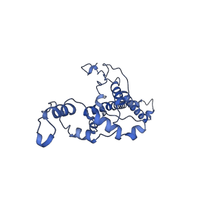 34373_8gym_I_v1-0
Cryo-EM structure of Tetrahymena thermophila respiratory mega-complex MC IV2+(I+III2+II)2