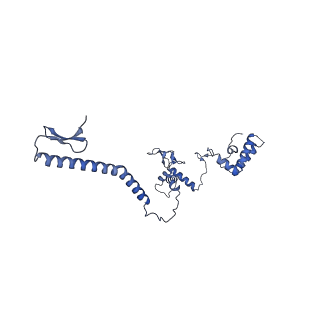 34373_8gym_J1_v1-0
Cryo-EM structure of Tetrahymena thermophila respiratory mega-complex MC IV2+(I+III2+II)2