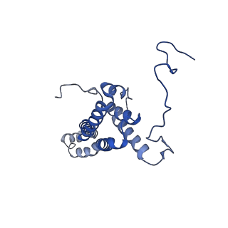 34373_8gym_J_v1-0
Cryo-EM structure of Tetrahymena thermophila respiratory mega-complex MC IV2+(I+III2+II)2