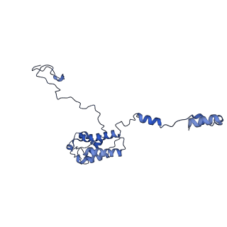 34373_8gym_K_v1-0
Cryo-EM structure of Tetrahymena thermophila respiratory mega-complex MC IV2+(I+III2+II)2