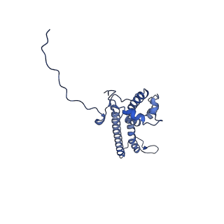 34373_8gym_L_v1-0
Cryo-EM structure of Tetrahymena thermophila respiratory mega-complex MC IV2+(I+III2+II)2