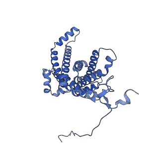 34373_8gym_M1_v1-0
Cryo-EM structure of Tetrahymena thermophila respiratory mega-complex MC IV2+(I+III2+II)2