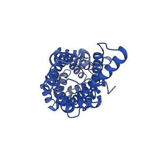 34373_8gym_M2_v1-0
Cryo-EM structure of Tetrahymena thermophila respiratory mega-complex MC IV2+(I+III2+II)2