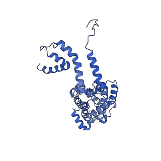 34373_8gym_M3_v1-0
Cryo-EM structure of Tetrahymena thermophila respiratory mega-complex MC IV2+(I+III2+II)2
