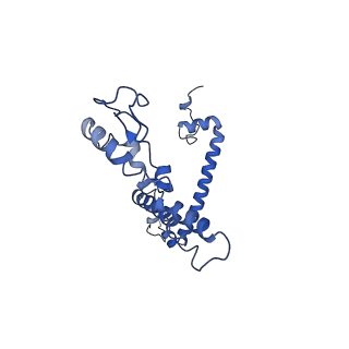 34373_8gym_M_v1-0
Cryo-EM structure of Tetrahymena thermophila respiratory mega-complex MC IV2+(I+III2+II)2