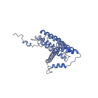34373_8gym_N1_v1-0
Cryo-EM structure of Tetrahymena thermophila respiratory mega-complex MC IV2+(I+III2+II)2