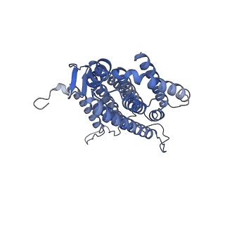 34373_8gym_N2_v1-0
Cryo-EM structure of Tetrahymena thermophila respiratory mega-complex MC IV2+(I+III2+II)2