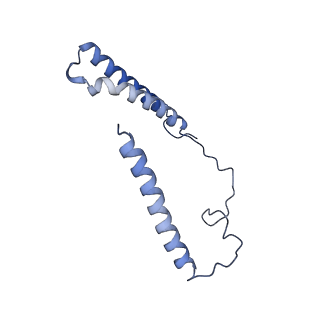 34373_8gym_N3_v1-0
Cryo-EM structure of Tetrahymena thermophila respiratory mega-complex MC IV2+(I+III2+II)2