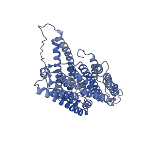 34373_8gym_N4_v1-0
Cryo-EM structure of Tetrahymena thermophila respiratory mega-complex MC IV2+(I+III2+II)2