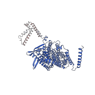 34373_8gym_N5_v1-0
Cryo-EM structure of Tetrahymena thermophila respiratory mega-complex MC IV2+(I+III2+II)2