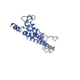 34373_8gym_N_v1-0
Cryo-EM structure of Tetrahymena thermophila respiratory mega-complex MC IV2+(I+III2+II)2