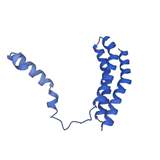 34373_8gym_O_v1-0
Cryo-EM structure of Tetrahymena thermophila respiratory mega-complex MC IV2+(I+III2+II)2