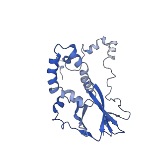 34373_8gym_P1_v1-0
Cryo-EM structure of Tetrahymena thermophila respiratory mega-complex MC IV2+(I+III2+II)2