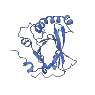 34373_8gym_P2_v1-0
Cryo-EM structure of Tetrahymena thermophila respiratory mega-complex MC IV2+(I+III2+II)2