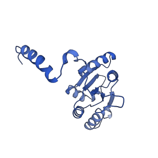34373_8gym_P_v1-0
Cryo-EM structure of Tetrahymena thermophila respiratory mega-complex MC IV2+(I+III2+II)2