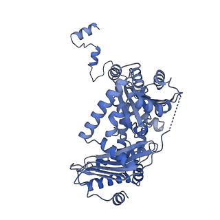 34373_8gym_QA_v1-0
Cryo-EM structure of Tetrahymena thermophila respiratory mega-complex MC IV2+(I+III2+II)2