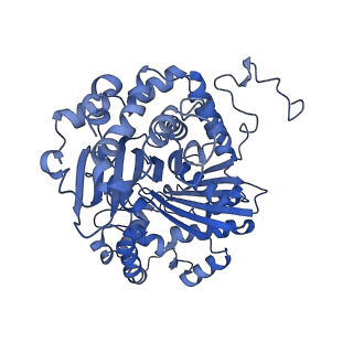 34373_8gym_QB_v1-0
Cryo-EM structure of Tetrahymena thermophila respiratory mega-complex MC IV2+(I+III2+II)2