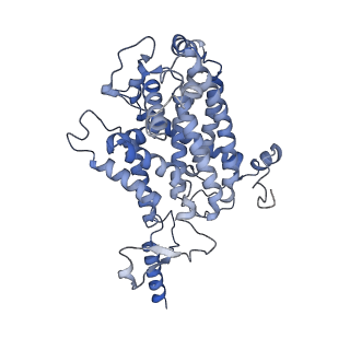 34373_8gym_QC_v1-0
Cryo-EM structure of Tetrahymena thermophila respiratory mega-complex MC IV2+(I+III2+II)2