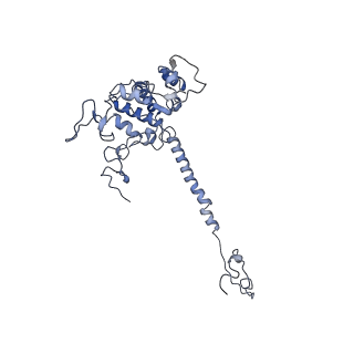 34373_8gym_QD_v1-0
Cryo-EM structure of Tetrahymena thermophila respiratory mega-complex MC IV2+(I+III2+II)2