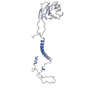 34373_8gym_QE_v1-0
Cryo-EM structure of Tetrahymena thermophila respiratory mega-complex MC IV2+(I+III2+II)2