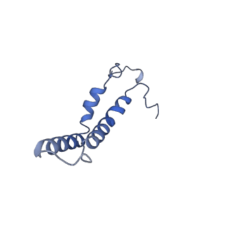 34373_8gym_QF_v1-0
Cryo-EM structure of Tetrahymena thermophila respiratory mega-complex MC IV2+(I+III2+II)2