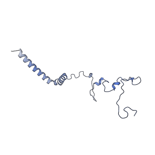 34373_8gym_QH_v1-0
Cryo-EM structure of Tetrahymena thermophila respiratory mega-complex MC IV2+(I+III2+II)2