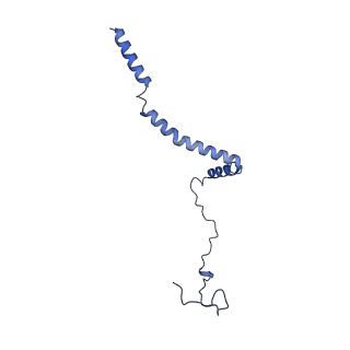 34373_8gym_QI_v1-0
Cryo-EM structure of Tetrahymena thermophila respiratory mega-complex MC IV2+(I+III2+II)2