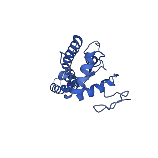 34373_8gym_Q_v1-0
Cryo-EM structure of Tetrahymena thermophila respiratory mega-complex MC IV2+(I+III2+II)2