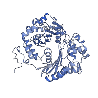 34373_8gym_Qb_v1-0
Cryo-EM structure of Tetrahymena thermophila respiratory mega-complex MC IV2+(I+III2+II)2