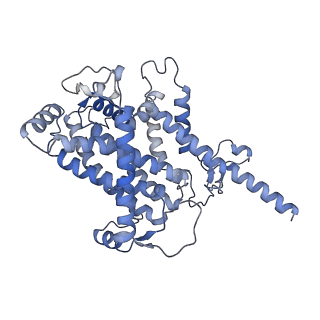 34373_8gym_Qc_v1-0
Cryo-EM structure of Tetrahymena thermophila respiratory mega-complex MC IV2+(I+III2+II)2