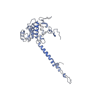 34373_8gym_Qd_v1-0
Cryo-EM structure of Tetrahymena thermophila respiratory mega-complex MC IV2+(I+III2+II)2