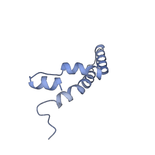 34373_8gym_Qf_v1-0
Cryo-EM structure of Tetrahymena thermophila respiratory mega-complex MC IV2+(I+III2+II)2