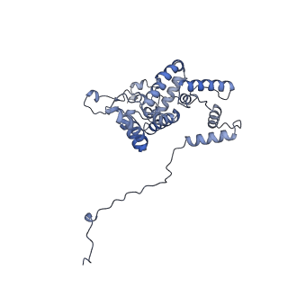 34373_8gym_Qg_v1-0
Cryo-EM structure of Tetrahymena thermophila respiratory mega-complex MC IV2+(I+III2+II)2