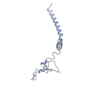 34373_8gym_Qh_v1-0
Cryo-EM structure of Tetrahymena thermophila respiratory mega-complex MC IV2+(I+III2+II)2