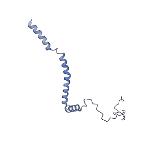 34373_8gym_Qi_v1-0
Cryo-EM structure of Tetrahymena thermophila respiratory mega-complex MC IV2+(I+III2+II)2