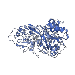 34373_8gym_S1_v1-0
Cryo-EM structure of Tetrahymena thermophila respiratory mega-complex MC IV2+(I+III2+II)2