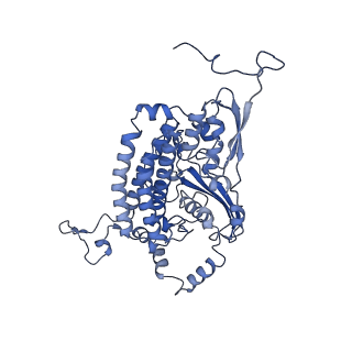 34373_8gym_S2_v1-0
Cryo-EM structure of Tetrahymena thermophila respiratory mega-complex MC IV2+(I+III2+II)2