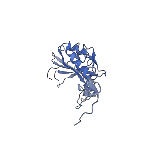 34373_8gym_S3_v1-0
Cryo-EM structure of Tetrahymena thermophila respiratory mega-complex MC IV2+(I+III2+II)2