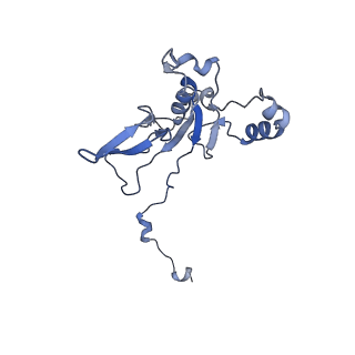 34373_8gym_S4_v1-0
Cryo-EM structure of Tetrahymena thermophila respiratory mega-complex MC IV2+(I+III2+II)2