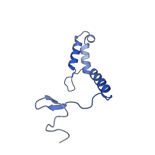 34373_8gym_S5_v1-0
Cryo-EM structure of Tetrahymena thermophila respiratory mega-complex MC IV2+(I+III2+II)2