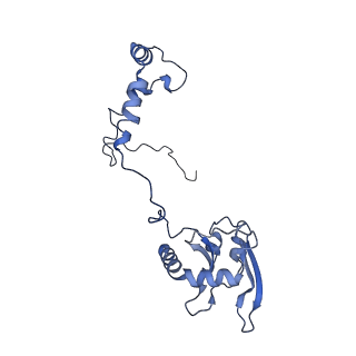 34373_8gym_S8_v1-0
Cryo-EM structure of Tetrahymena thermophila respiratory mega-complex MC IV2+(I+III2+II)2