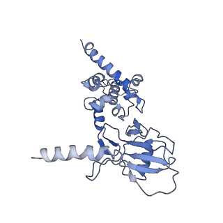 34373_8gym_SB_v1-0
Cryo-EM structure of Tetrahymena thermophila respiratory mega-complex MC IV2+(I+III2+II)2